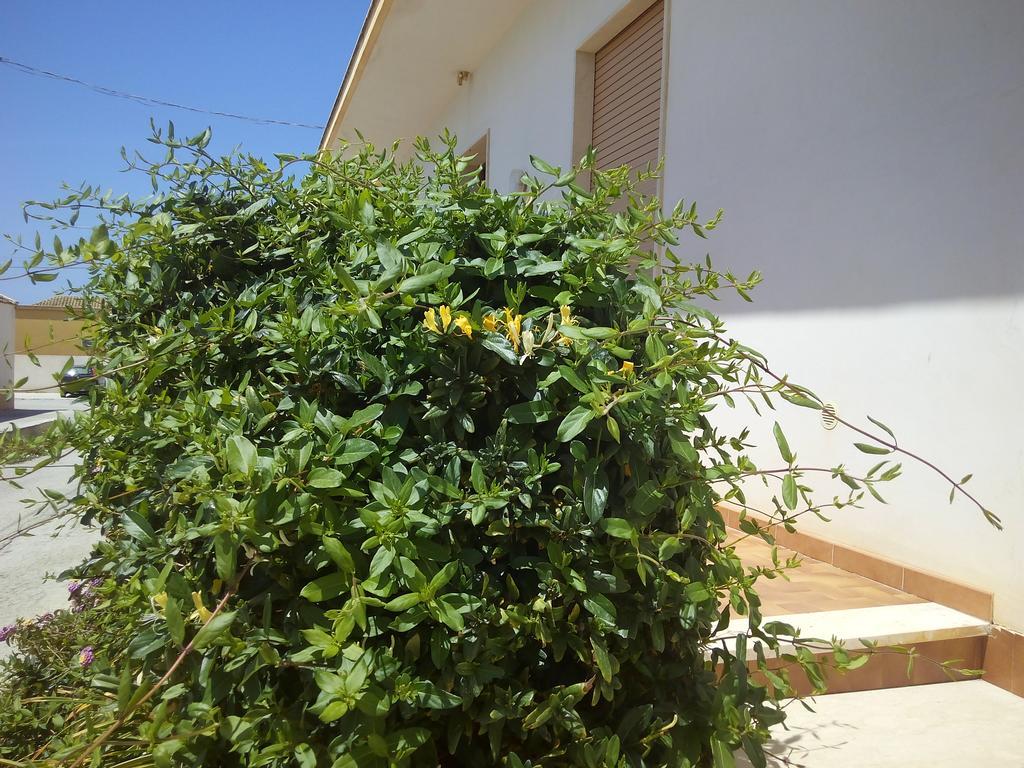 Casa Bianca Da Giusy Guest House Бирги Веки Екстериор снимка